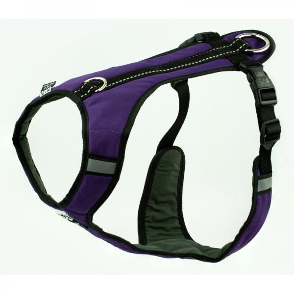 sali Hundegeschirr speed lila